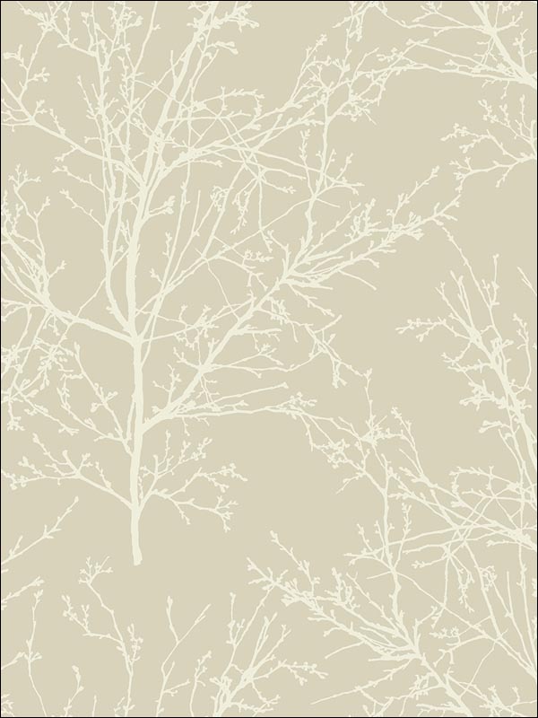 Winter Branches wallpaper in 22408 color - pattern number BW22408 - by Paper and Ink in the Black and White Paper and Ink collection