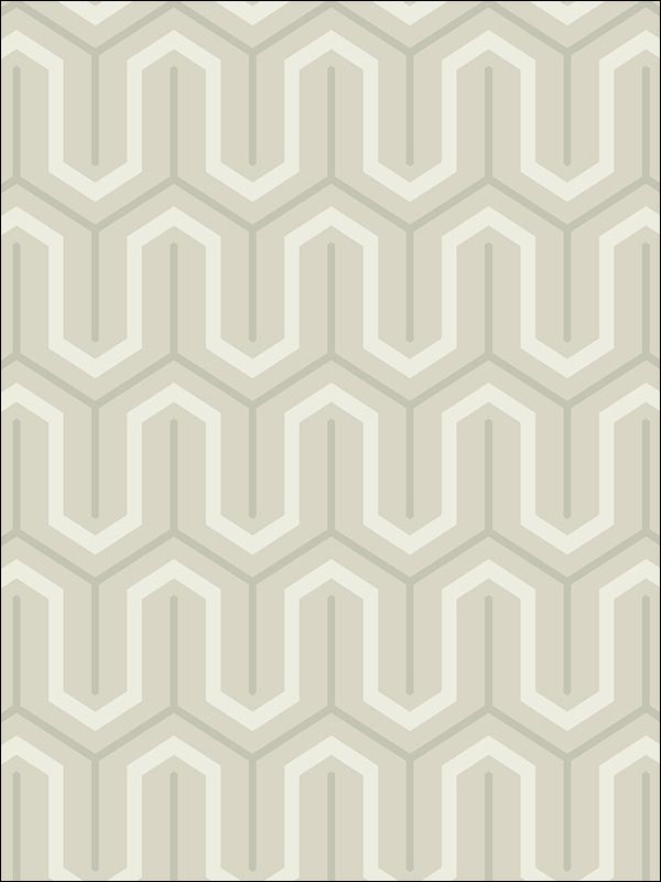 Modern Parket Geometric wallpaper in 22808 color - pattern number BW22808 - by Paper and Ink in the Black and White Paper and Ink collection