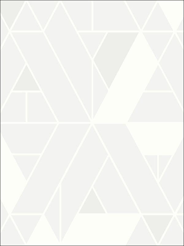 Parket fabric in 22900 color - pattern number BW22900 - by Paper and Ink in the Black and White Paper and Ink collection