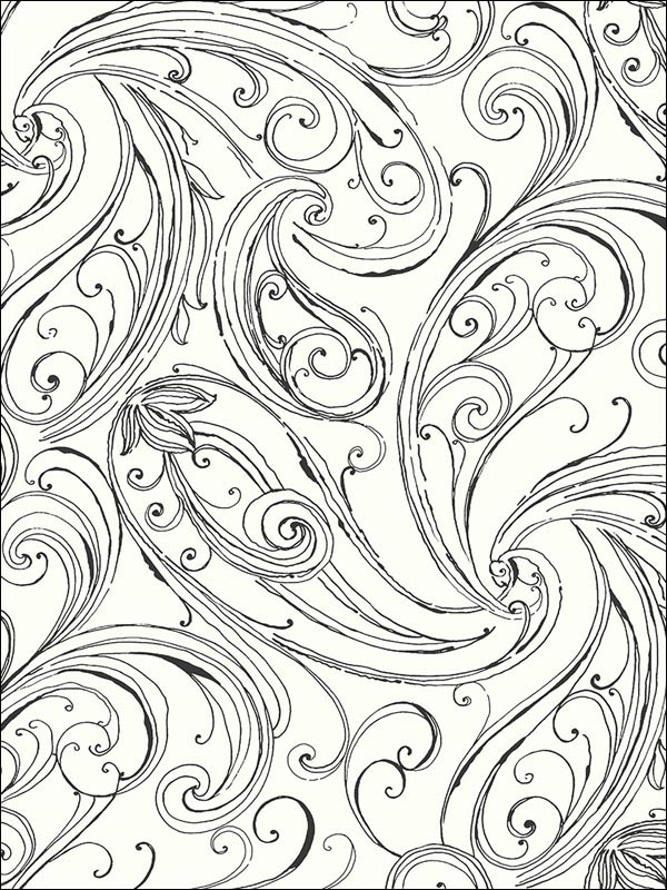 Paisley wallpaper in 23100 color - pattern number BW23100 - by Paper and Ink in the Black and White Paper and Ink collection