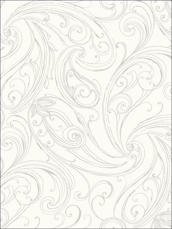 Paisley wallpaper in 23107 color - pattern number BW23107 - by Paper and Ink in the Black and White Paper and Ink collection