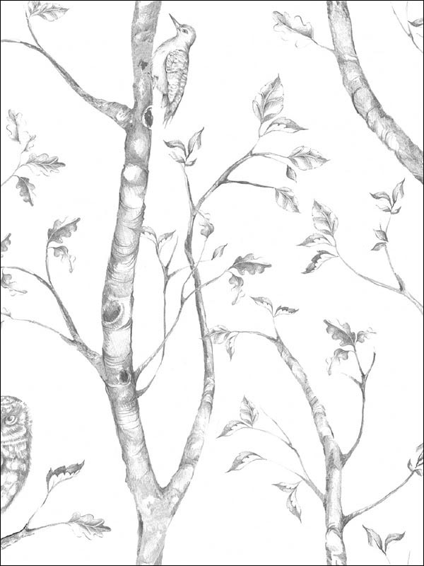 Woods Peel and Stick wallpaper in grey color - pattern number NU1412 - by Brewster in the NuWallpaper collection