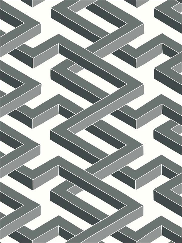 Luxor fabric in black and white color - pattern number 105/1002.CS.0 - by Cole and Son in the Geometric II collection