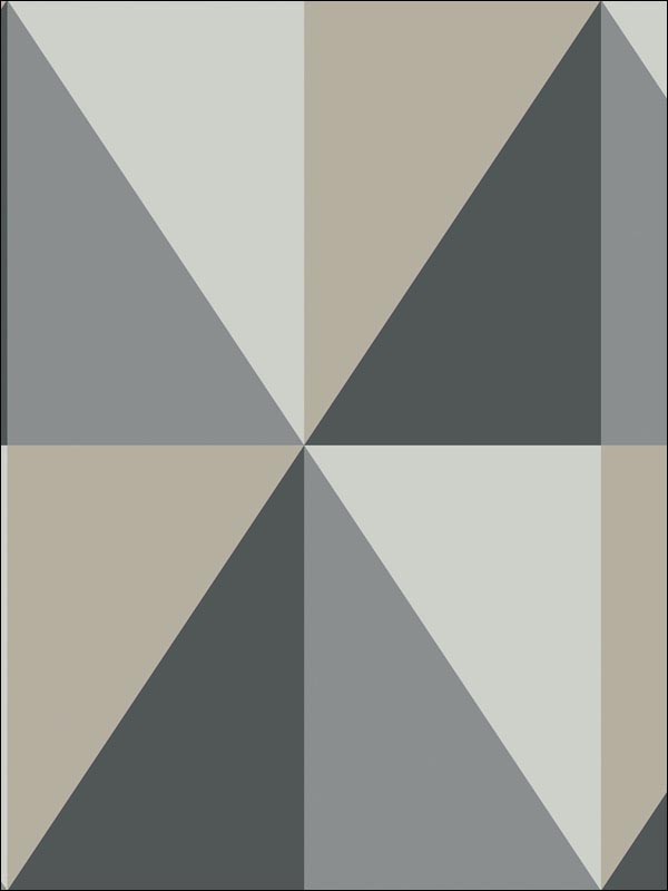 Apex Grand fabric in grey and black color - pattern number 105/10043.CS.0 - by Cole and Son in the Geometric II collection