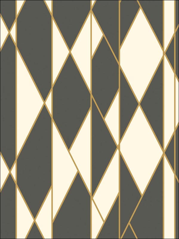 Oblique fabric in black and white color - pattern number 105/11049.CS.0 - by Cole and Son in the Geometric II collection