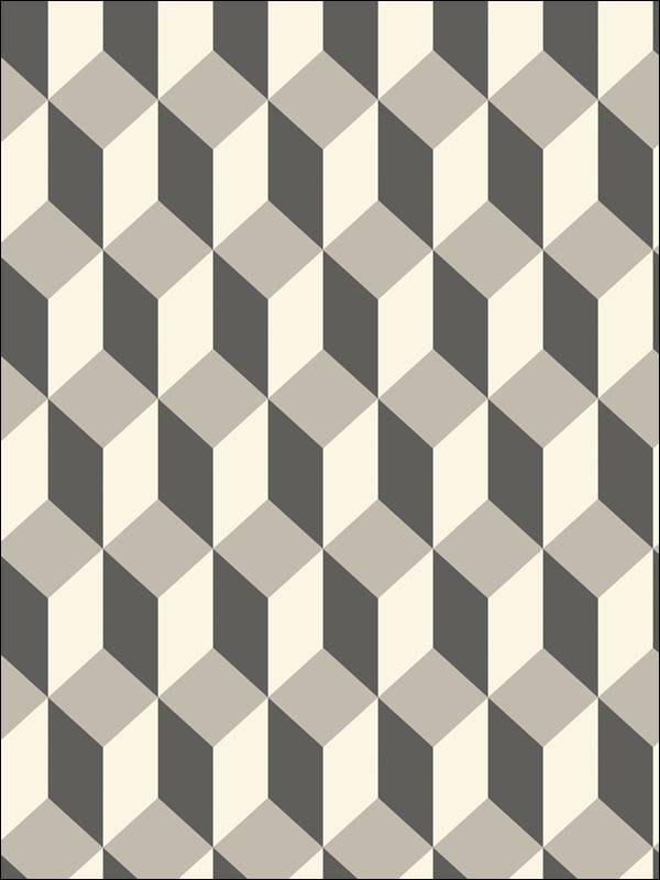 Delano fabric in grey and black color - pattern number 105/7031.CS.0 - by Cole and Son in the Geometric II collection