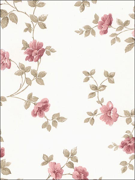 Floral Historic Rose Trail wallpaper in pinks color - pattern number CN24642 - by Patton Norwall in the Pretty Prints 4 collection