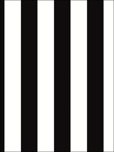 1.25 Regency Stripe fabric in black white color - pattern number BW28702 - by Patton Norwall in the Shades collection