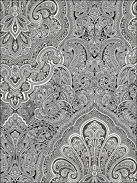 Ruby Paisley fabric in black white color - pattern number BW28703 - by Patton Norwall in the Shades collection