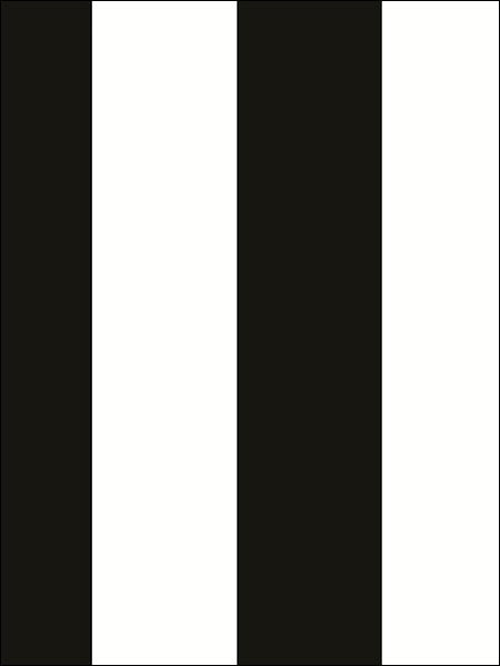 2.5 Tent Stripe fabric in black white color - pattern number BW28748 - by Patton Norwall in the Shades collection
