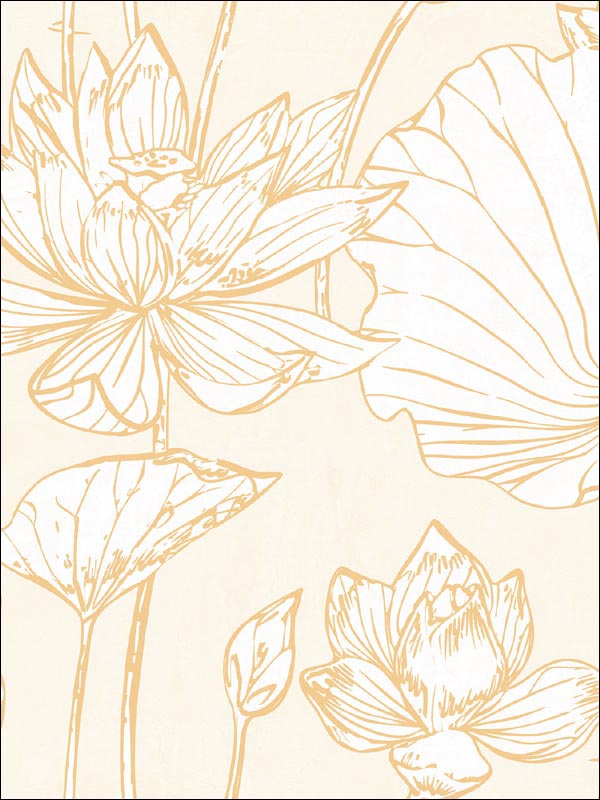 Lotus Floral wallpaper in metallic gold and off white color - pattern number AI42305 - by Seabrook in the Koi collection