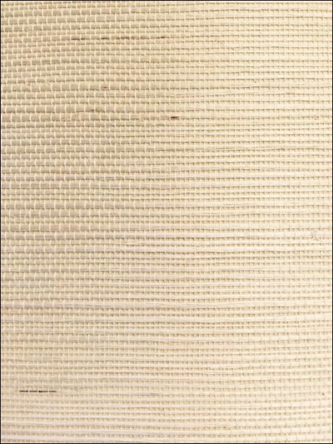 Grasscloth W3284 fabric in beige color - pattern number W3284.1616.0 - by Kravet in the Grasscloth III collection