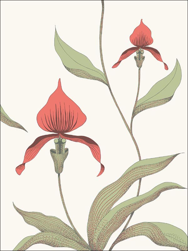 Orchid fabric in red white color - pattern number 95/10054.CS.0 - by Cole and Son in the Contemporary Restyled collection