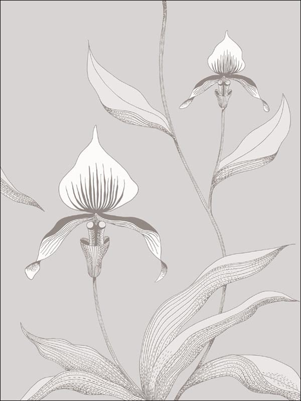 Orchid fabric in grey white color - pattern number 95/10055.CS.0 - by Cole and Son in the Contemporary Restyled collection