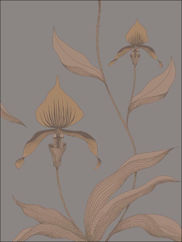 Orchid fabric in bronze slate color - pattern number 95/10056.CS.0 - by Cole and Son in the Contemporary Restyled collection