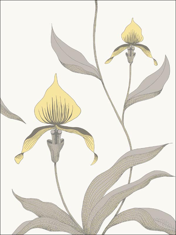 Orchid fabric in yellow white color - pattern number 95/10057.CS.0 - by Cole and Son in the Contemporary Restyled collection