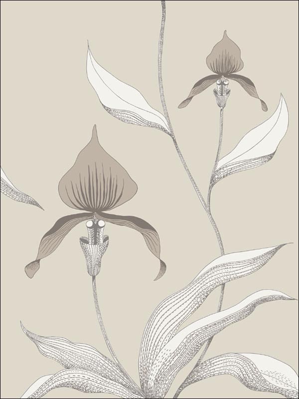 Orchid fabric in linen white color - pattern number 95/10058.CS.0 - by Cole and Son in the Contemporary Restyled collection
