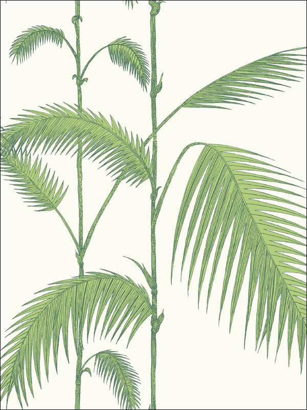 Palm Leaves fabric in green white color - pattern number 95/1009.CS.0 - by Cole and Son in the Contemporary Restyled collection