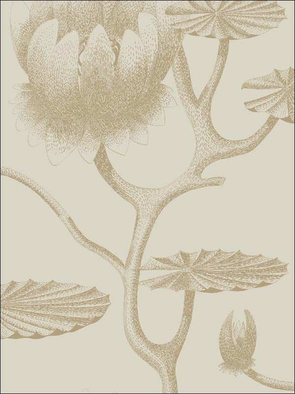Lily fabric in linen gold color - pattern number 95/4019.CS.0 - by Cole and Son in the Contemporary Restyled collection
