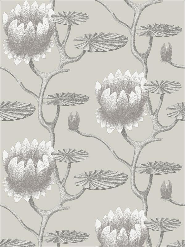 Summer Lily fabric in taupe white color - pattern number 95/4025.CS.0 - by Cole and Son in the Contemporary Restyled collection