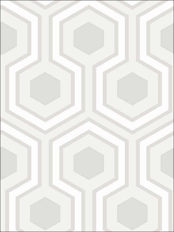 Hicks Grand fabric in dove grey color - pattern number 95/6036.CS.0 - by Cole and Son in the Contemporary Restyled collection