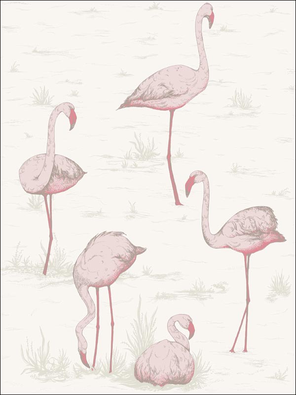 Flamingos fabric in pink white color - pattern number 95/8045.CS.0 - by Cole and Son in the Contemporary Restyled collection