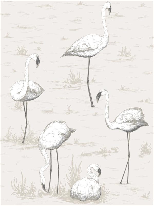 Flamingos fabric in charcoal white color - pattern number 95/8046.CS.0 - by Cole and Son in the Contemporary Restyled collection