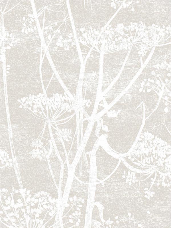 Cow Parsley wallpaper in linen white color - pattern number 95/9051.CS.0 - by Cole and Son in the Contemporary Restyled collection