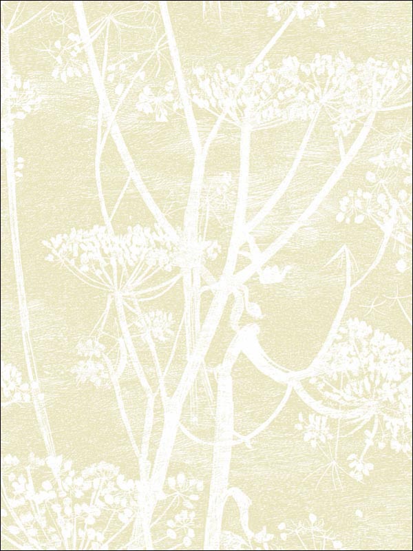 Cow Parsley wallpaper in straw white color - pattern number 95/9053.CS.0 - by Cole and Son in the Contemporary Restyled collection