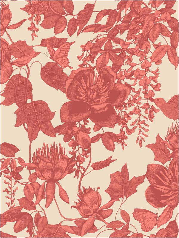 Tivoli wallpaper in coral color - pattern number 99/7033.CS.0 - by Cole and Son in the Folie collection