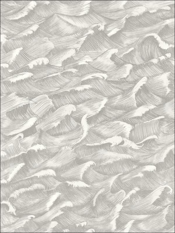 Columbus fabric in black and white color - pattern number 103/13055.CS.0 - by Cole and Son in the Whimsical collection