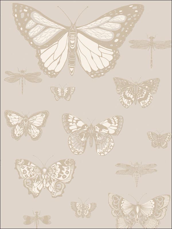 Butterflies and Dragonflies fabric in grey color - pattern number 103/15064.CS.0 - by Cole and Son in the Whimsical collection