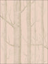 Woods fabric in pink gilver color - pattern number 103/5024.CS.0 - by Cole and Son in the Whimsical collection