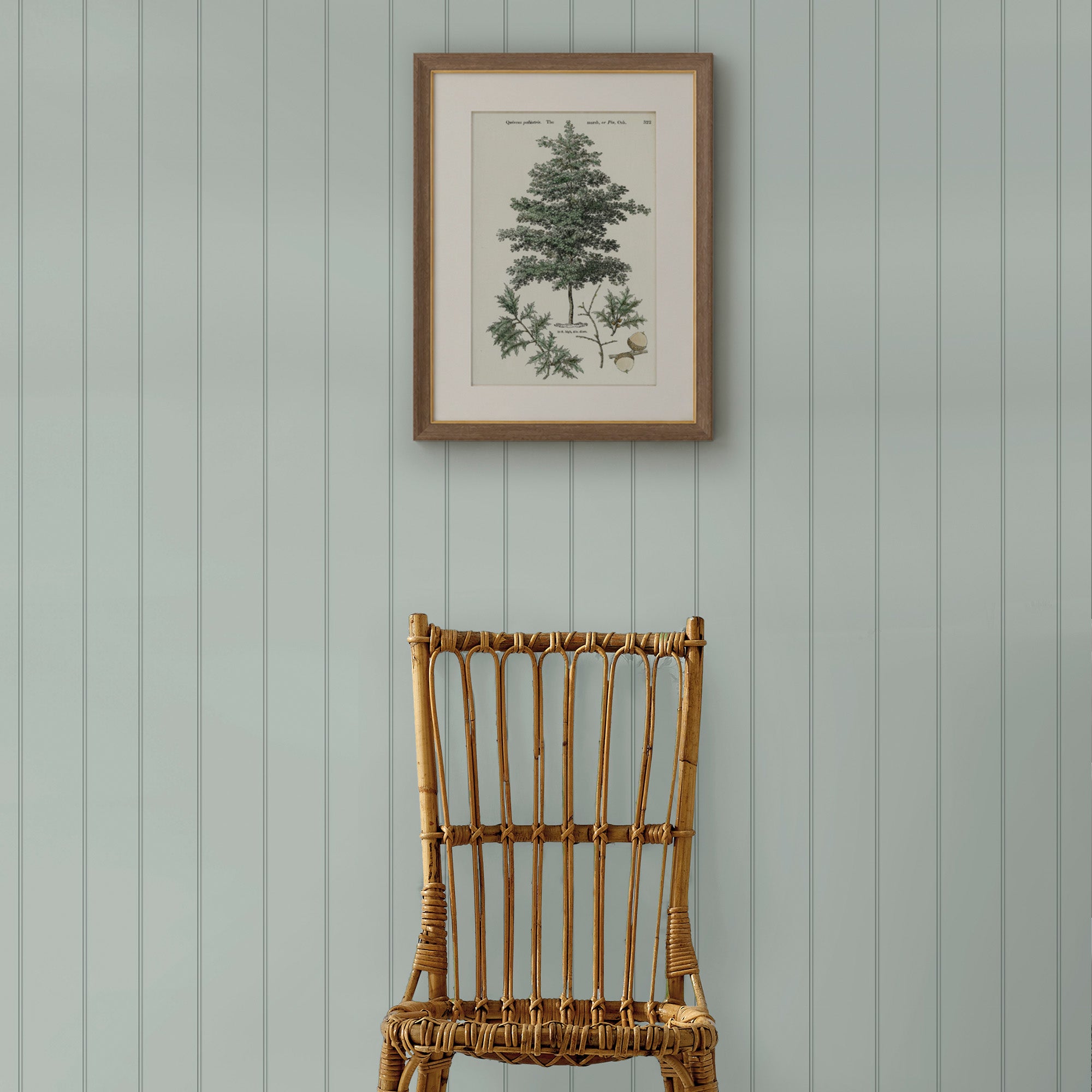 Wood Panel Wallpaper in sage color - pattern number 146786 - by Martha Stewart in the Martha Stewart AW26 collection