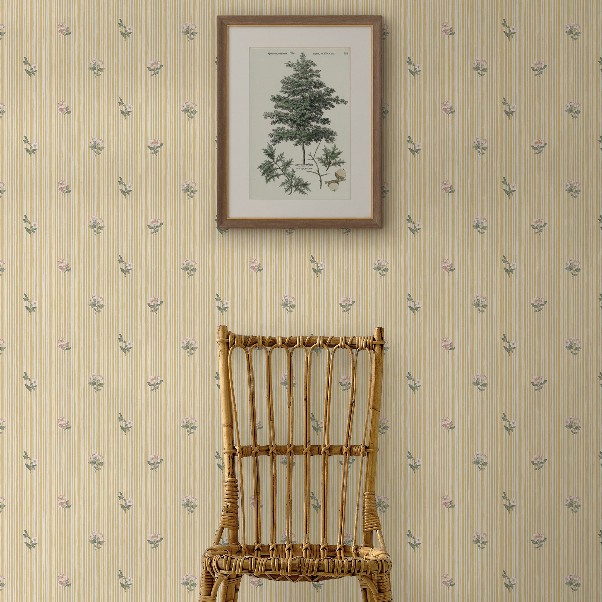 Garden Stripe Wallpaper in ochre color - pattern number 146816 - by Martha Stewart in the Martha Stewart AW26 collection