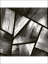 Langtry fabric in black color - pattern number CR41600 - by Carl Robinson in the Carl Robinson 12 Art collection