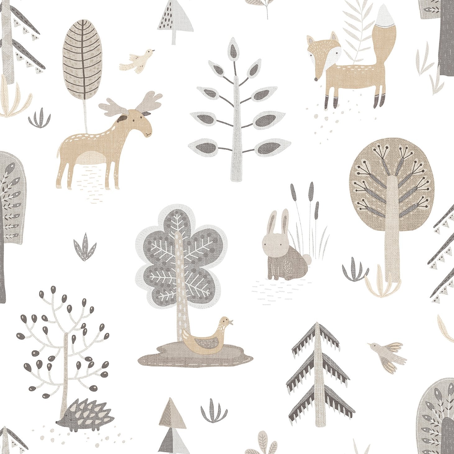 Kids wallpaper in silver grey color - pattern number 14801 - by Galerie in the Little Explorers 2 collection