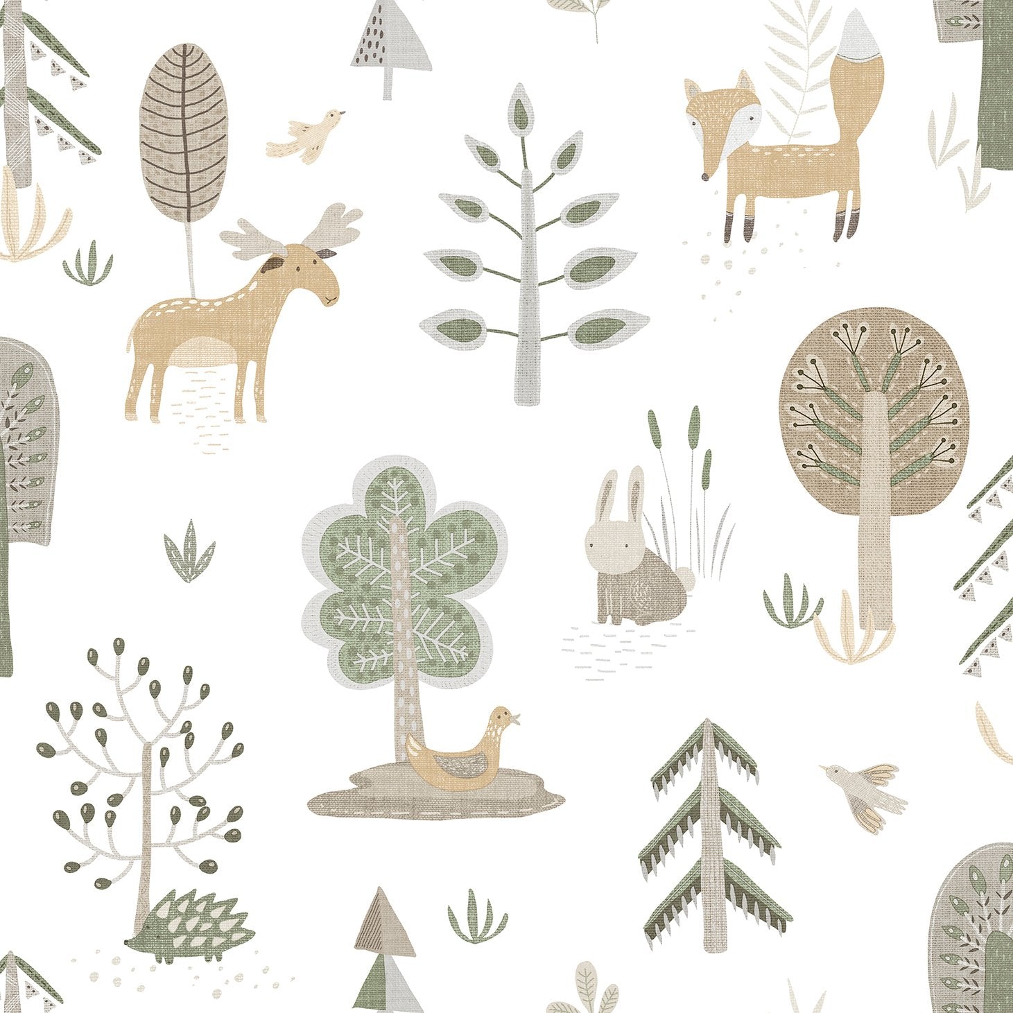 Kids wallpaper in green color - pattern number 14802 - by Galerie in the Little Explorers 2 collection