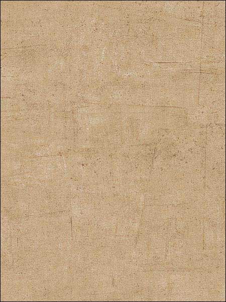 Warwick Texture fabric in metallic gold brown color - pattern number TE29312 - by Patton Norwall in the Texture Style 2 collection