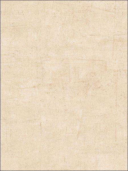Warwick Texture fabric in beige brown color - pattern number TE29313 - by Patton Norwall in the Texture Style 2 collection