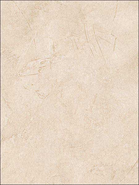 Rainforest fabric in beige tan color - pattern number TE29317 - by Patton Norwall in the Texture Style 2 collection