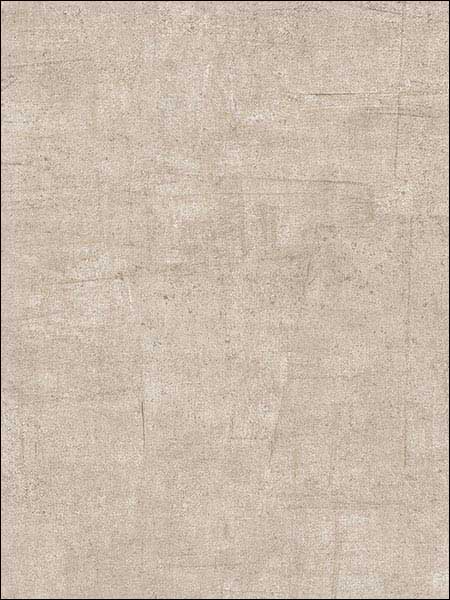Warwick Texture fabric in grey taupe color - pattern number TX34810 - by Patton Norwall in the Texture Style 2 collection