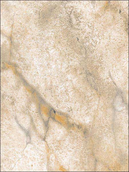 Calacatta Marble fabric in beige grey ochre metallic gold color - pattern number TX34846 - by Patton Norwall in the Texture Style 2 collection