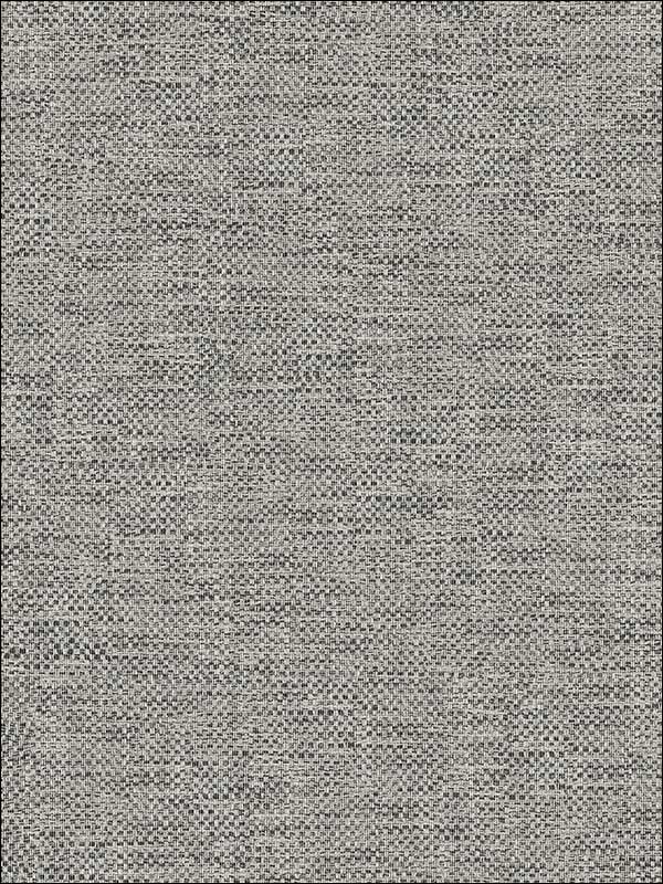 Grass Textile String fabric in warm neutral beige color - pattern number JC20802 - by Wallquest in the Grasseffects collection
