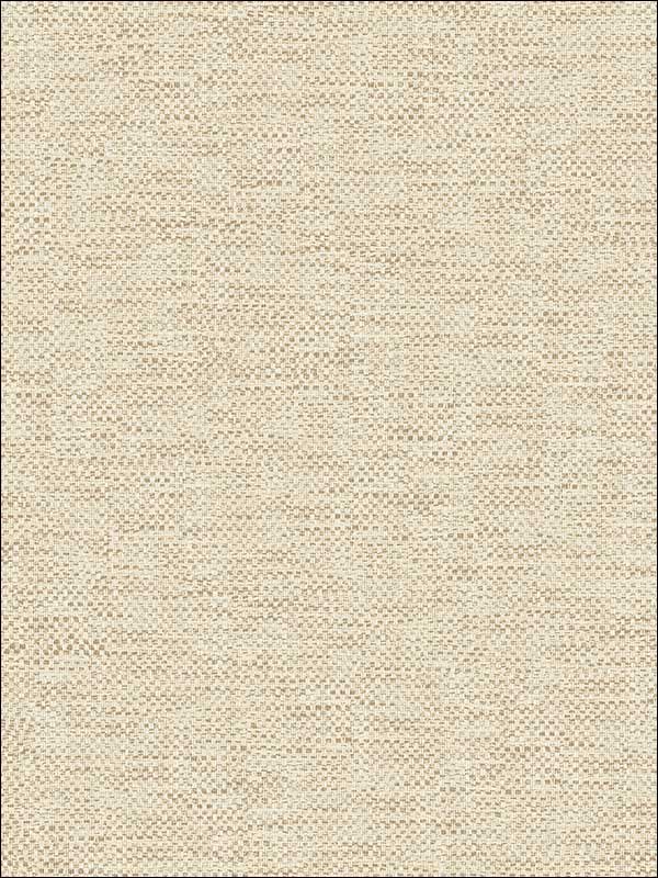 Grass Textile String fabric in warm neutral beige color - pattern number JC20805 - by Wallquest in the Grasseffects collection