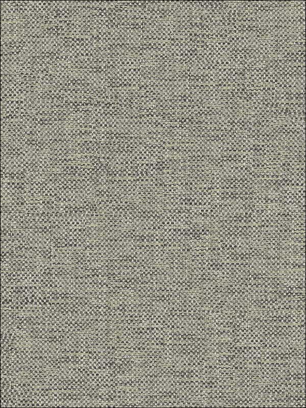 Grass Textile String fabric in brown taupe color - pattern number JC20806 - by Wallquest in the Grasseffects collection