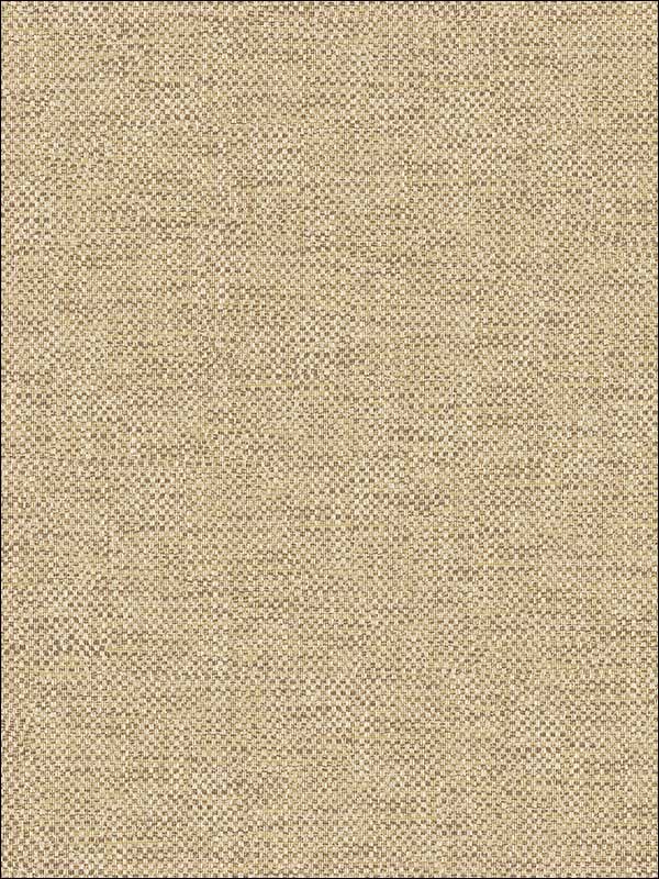 Grass Textile String fabric in copper bronze color - pattern number JC20815 - by Wallquest in the Grasseffects collection