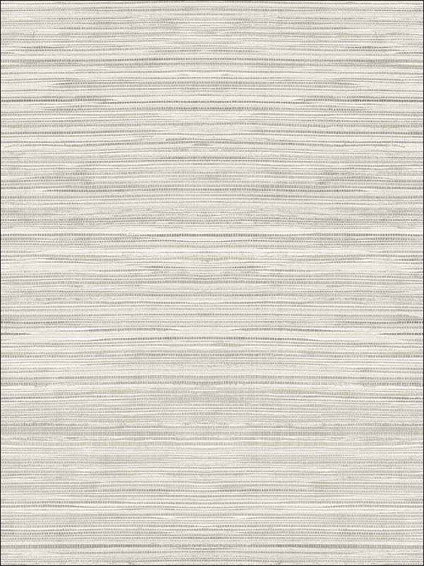 Coarse Grass Textile String fabric in warm neutral beige color - pattern number JC21000 - by Wallquest in the Grasseffects collection