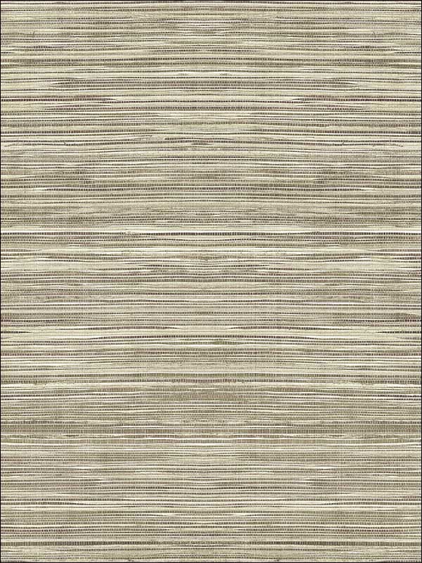 Coarse Grass Textile String fabric in brown taupe color - pattern number JC21004 - by Wallquest in the Grasseffects collection