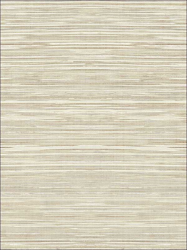 Coarse Grass Textile String fabric in warm neutral beige color - pattern number JC21005 - by Wallquest in the Grasseffects collection